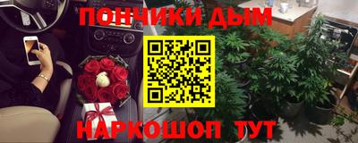 шишки Гагарин