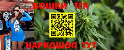 молекула духа Гатчина
