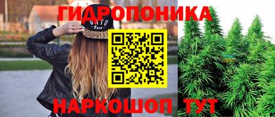 молекула духа Гатчина