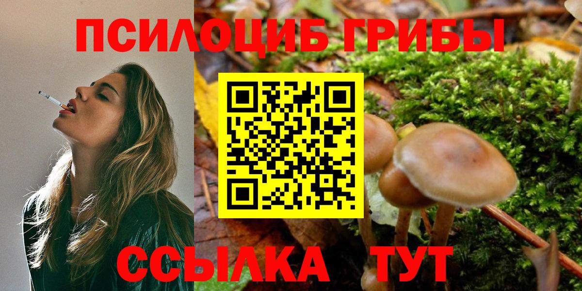 Галлюциногенные грибы Psilocybine cubensis Соликамск